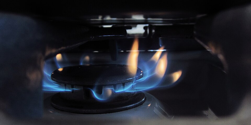 اجاق گاز فردار بوش — Bosch Gas Range